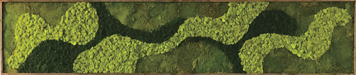 East Bay Custom Plant Designs